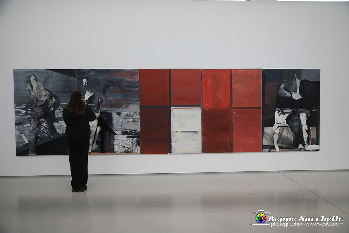 VBS_3292 - Mostra Personale Alessandro Scarabello.jpg